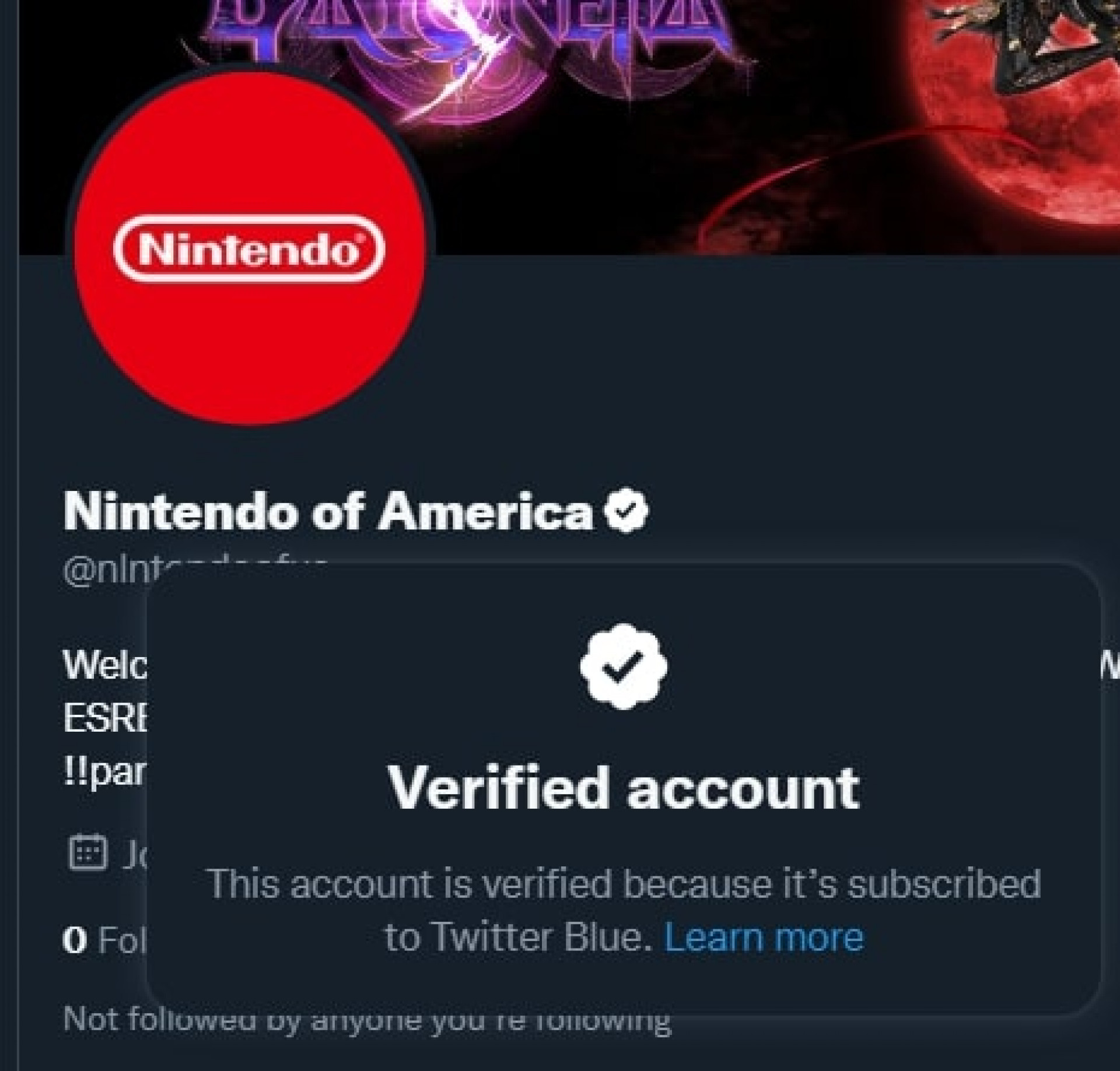 A Nintendo of America, conta no Twitter que representa a empresa japonesa Nintendo, também foi impersonada por outra pessoa usufruindo do Twitter Blue