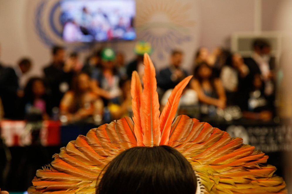 O Ministério dos Povos Indígenas também trabalhará a questão ambiental, assim como outras pastas devem abraçar as demandas.(Foto: Johann Olivier)