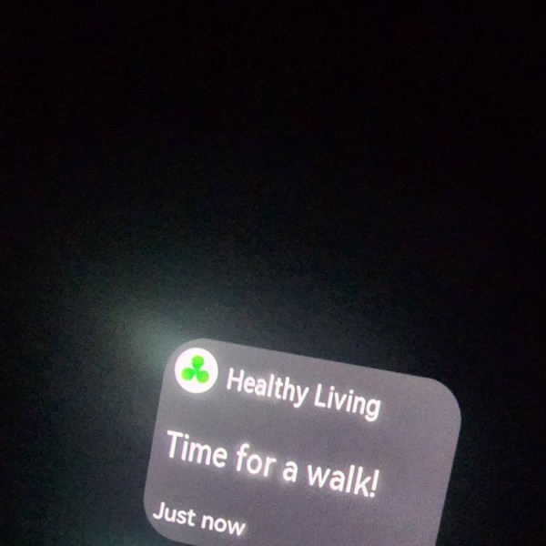 Huawei Watch Fit 2 sugere caminhada às 23h30min