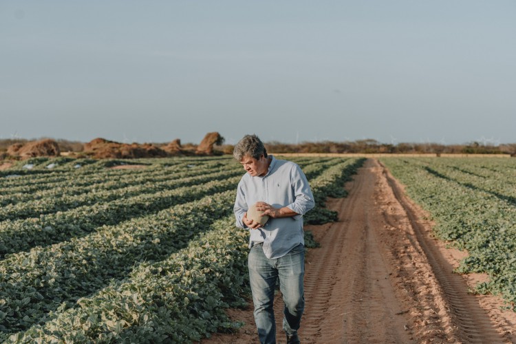 À partir de segunda-feira, 5, conheça mais cinco empresas familiares que marcam diferentes ramos da economia cearense