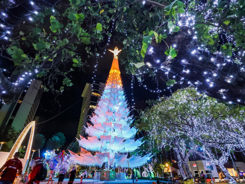 Quando montar a árvore de Natal em 2022? Veja a data indicada pela tradição  - Casa - Diário do Nordeste