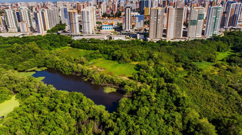 Encontro no Parque do Cocó para discutir mudanças climáticas ocorre das 9 às 16 horas