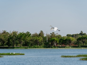 Parque Urbano da Lagoa de Maria Vieira, conhecido como a 