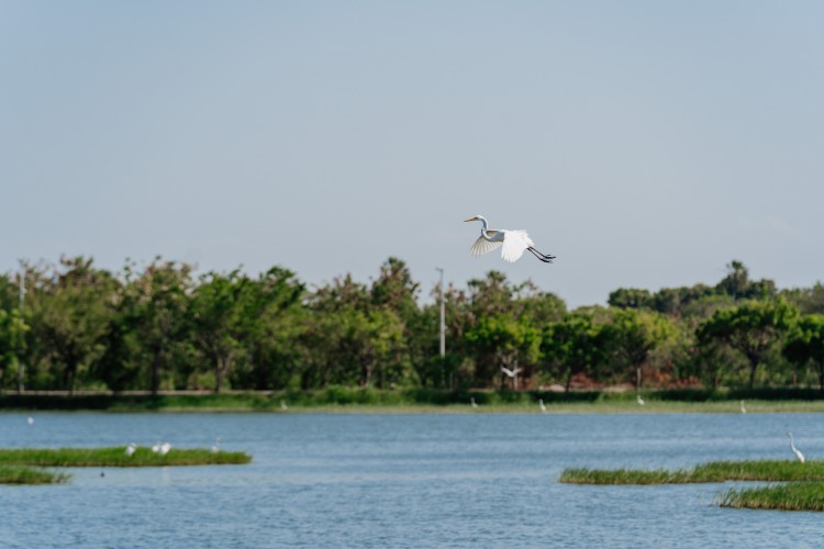 Parque Urbano da Lagoa de Maria Vieira, conhecido como a 