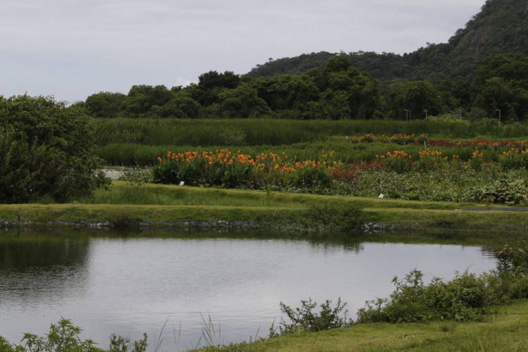 Novo parque em Niterói busca melhorar água e vegetação de lagoa 