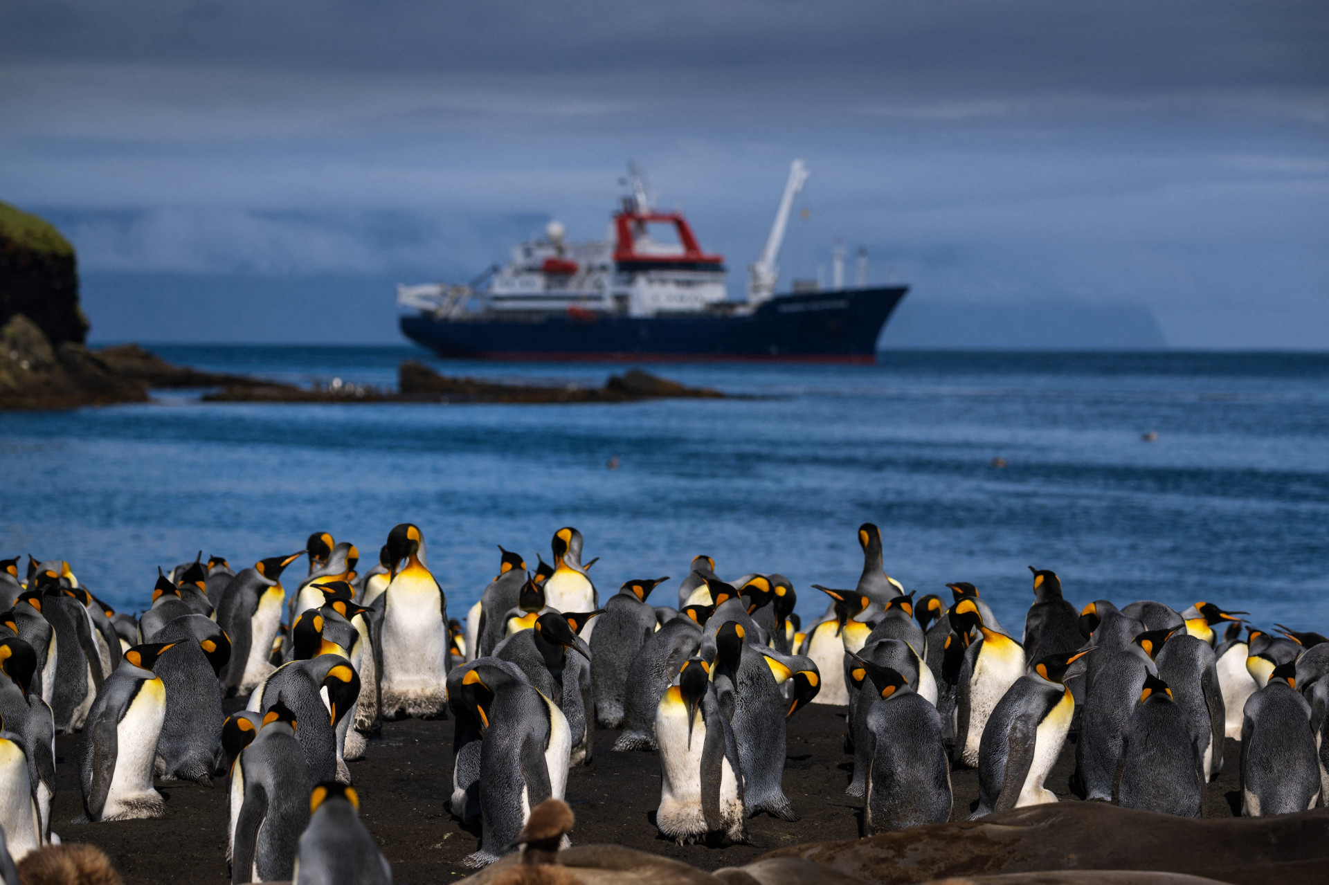 Milhares de pinguins-rei (Manchots Royaux) são retratados em 20 de dezembro de 2022 na Ilha Posession, parte das Ilhas Crozet, que são um arquipélago subantártico de pequenas ilhas no sul do Oceano Índico, formando um dos cinco distritos administrativos do Terras Austrais e Antárticas Francesas.
As Ilhas Crozet são o lar de quatro espécies de pinguins. Os mais abundantes são o pinguim macarrão, dos quais cerca de 2 milhões de casais se reproduzem nas ilhas, e o pinguim-rei, lar de 700.000 casais reprodutores; metade da população mundial.
Os mamíferos que vivem nas Ilhas Crozet incluem focas e elefantes marinhos do sul. Baleias assassinas foram observadas atacando as focas.
 (Foto: PATRICK HERTZOG / AFP)