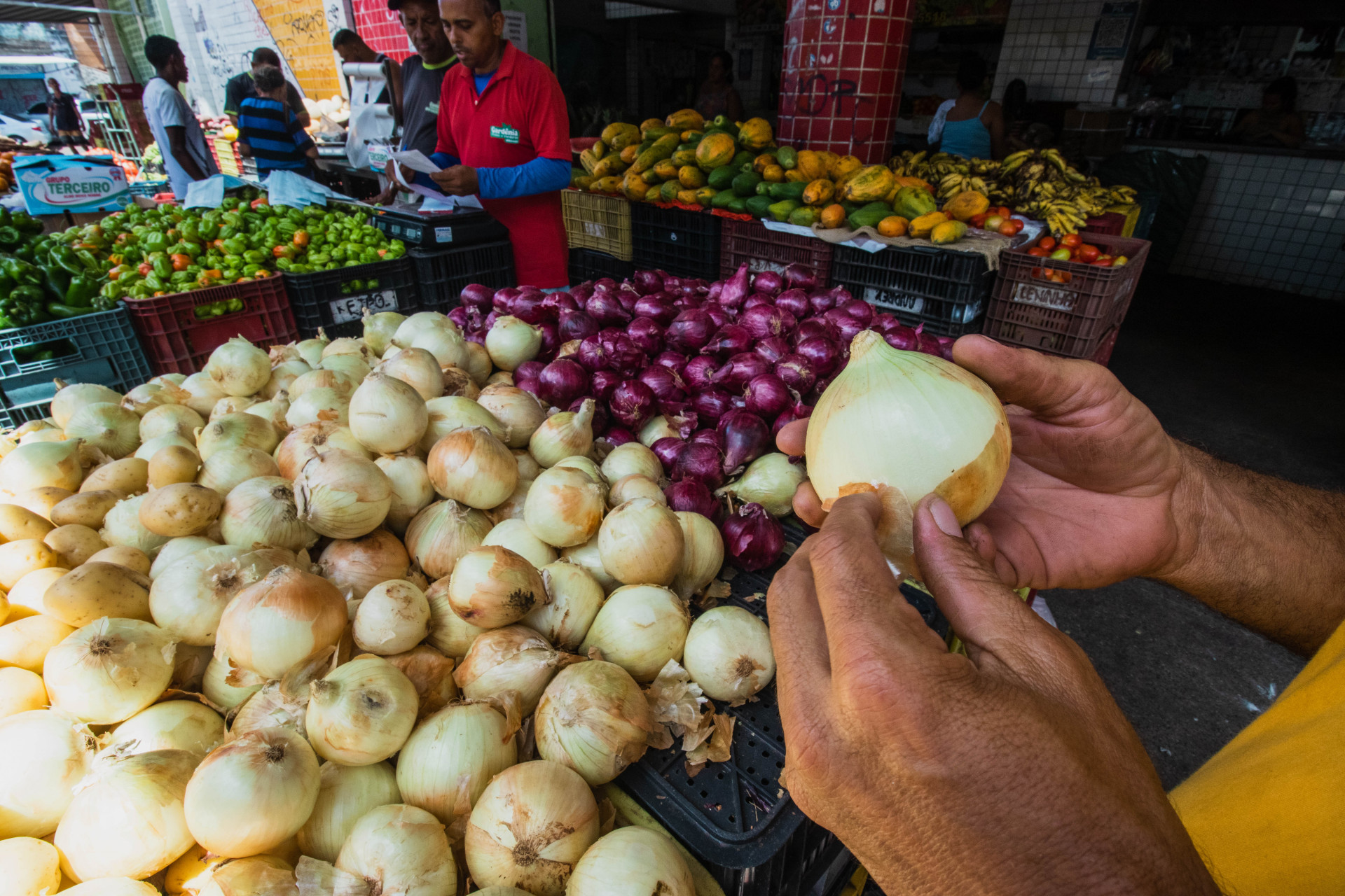 ￼A cebola está entre os itens que mais 
subiram de preço em março na Grande Fortaleza (Foto: FERNANDA BARROS)