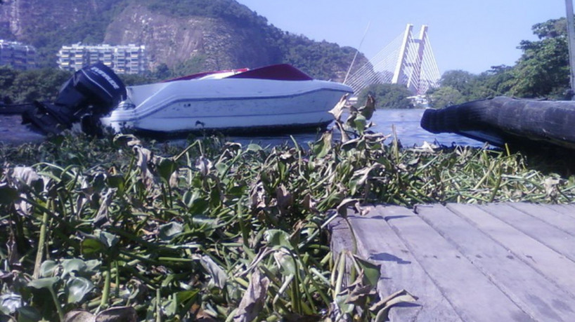 Comlurb retira 280 toneladas de gigogas da praia da Barra da Tijuca   