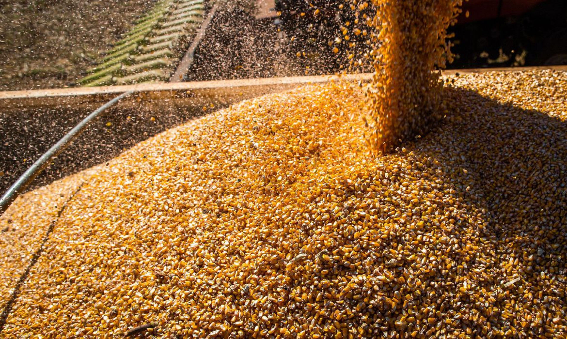 Exportações do agronegócio batem recorde em janeiro (Foto: Wenderson Araujo)