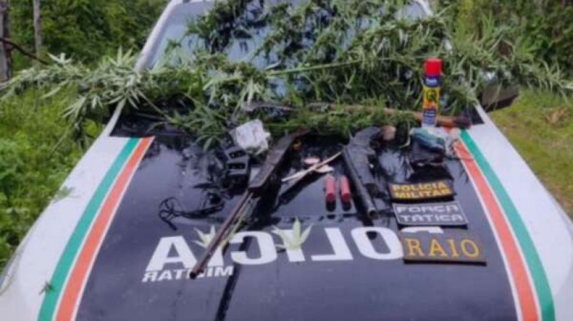 Pés de maconha foram apreendidos pela Polícia Militar 