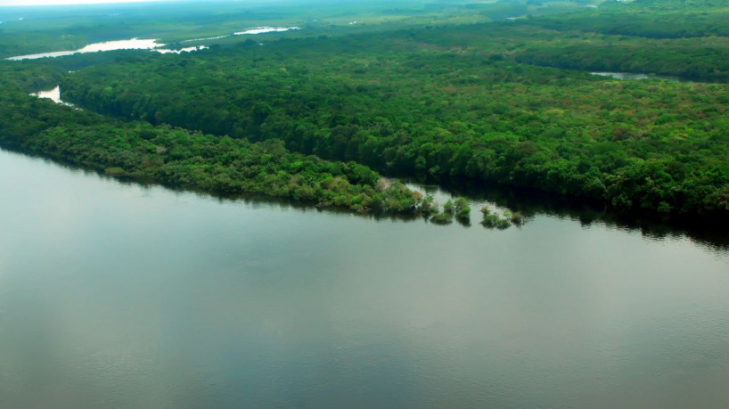 EUA estão empenhados em arrecadar recursos vultosos para Amazônia