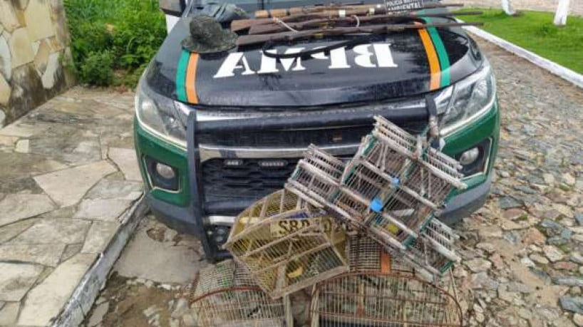 Animais estavam em gaiolas no alpendre da casa