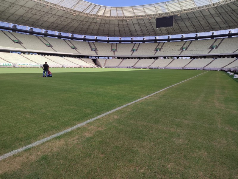 Copa do Mundo: confira o funcionamento da Câmara durante os dias de jogo do  Brasil - Câmara de Vereadores de Gramado