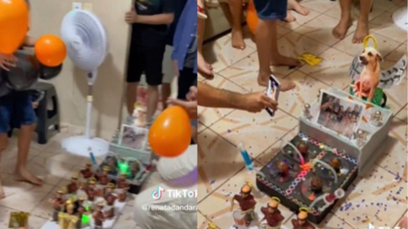 Desfile de Carnaval em miniatura foi homenagem para cachorrinha que morreu