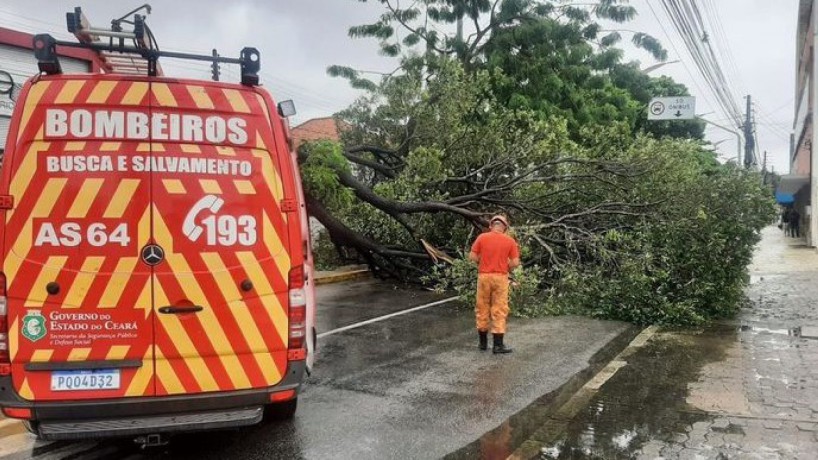 Na maioria dos casos, corte é realizado pelo poder municipal, mas bombeiros podem ser acionados em fins de semana, por exemplo