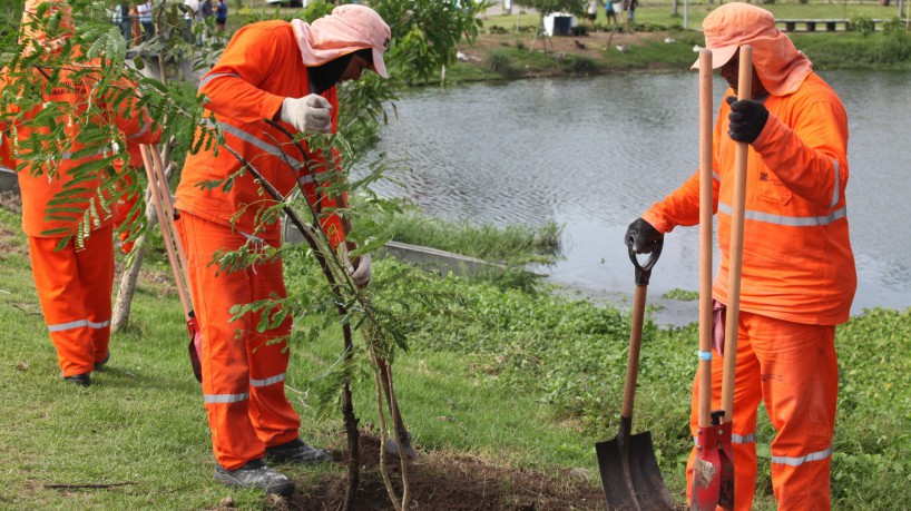 Prefeitura realiza plantio de 2.023 árvores em dez pontos para amenizar ilhas de calor em Fortaleza