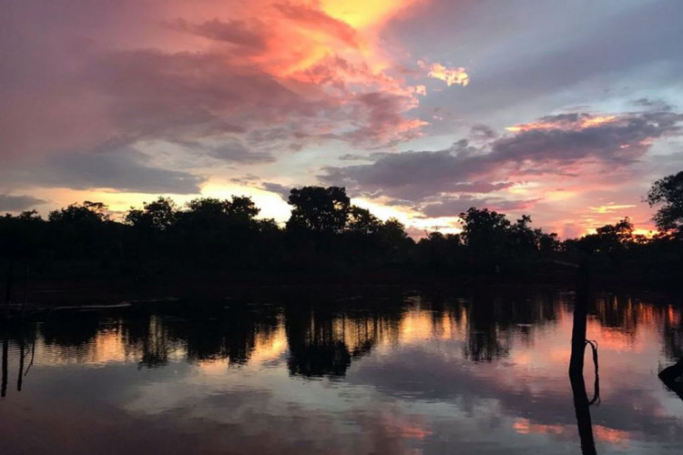 Nascer do Sol no Cerrado