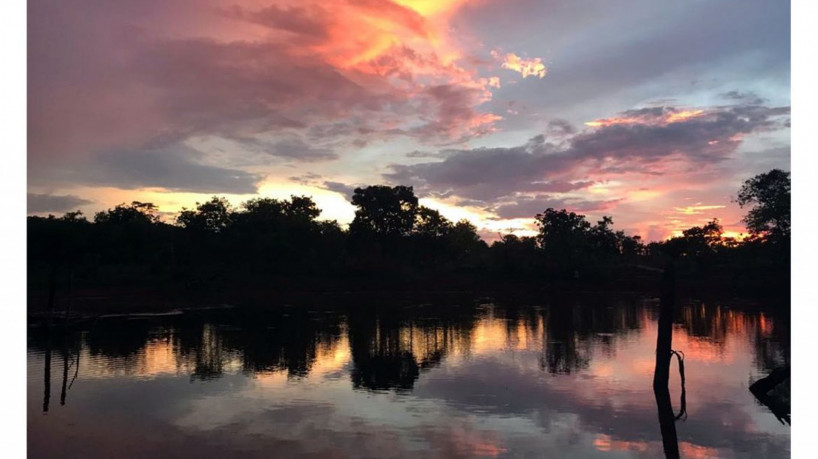 Nascer do Sol no Cerrado