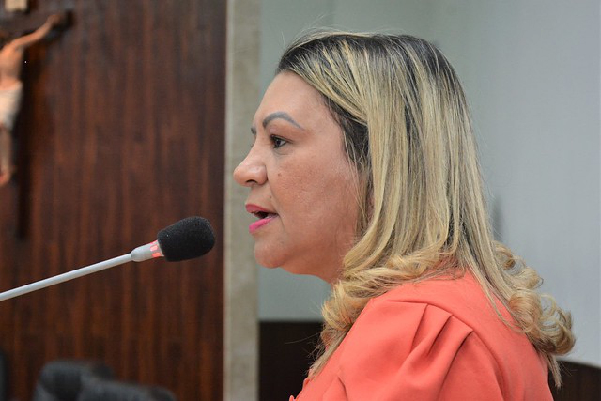 Vereadora Estrela Barros (Foto: Foto: ÉRika Fonseca/ CMFor )