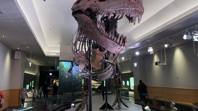 Esta imagem fornecida pelo Field Museum of Natural Museum de Chicago em 30 de março de 2023 mostra o esqueleto de 