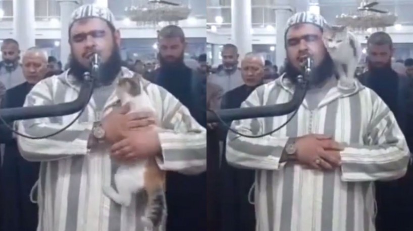 O gato subiu o Sheik Walid Mehsas durante o taraweeh