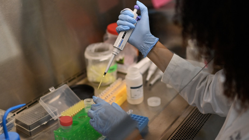 Termo "zoonose" inclui uma ampla variedade de doenças. Na foto, a bióloga pesquisadora Julia Leleu trabalha no laboratório de estudos de prevenção de zoonoses "El Dorado" em Mérida, estado de Yucatán, México