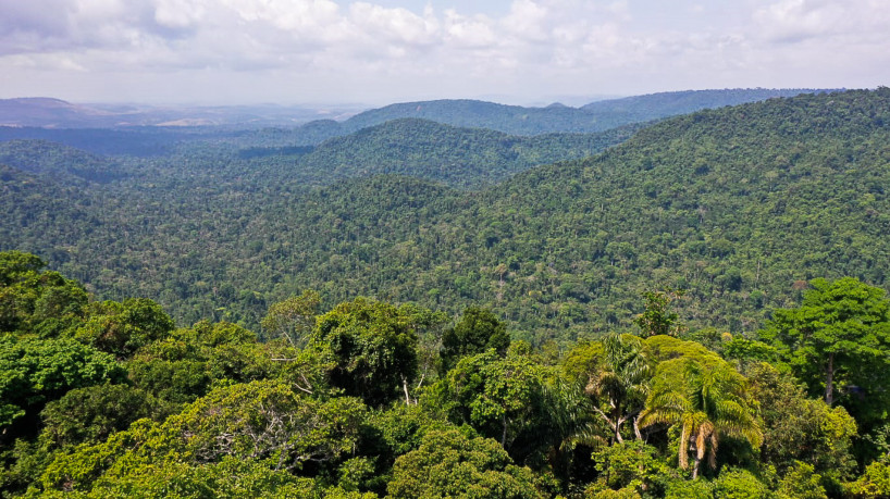 Cada hectare queimado da Amazônia representa um custo sanitário de 2 milhões de dólares