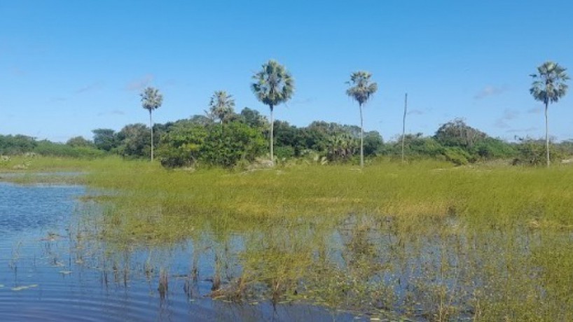 Aumento das chuvas no município e vegetação na lagoa dificultaram buscas