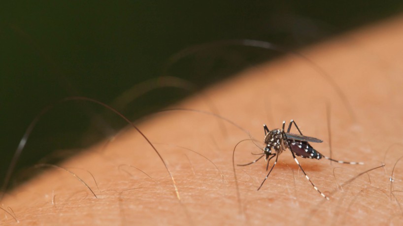 EUA fazem alerta sobre viagens ao Brasil devido a dengue e febre