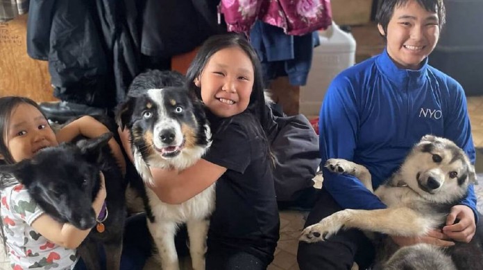 Família reencontra cachorro depois de um mês desaparecido 