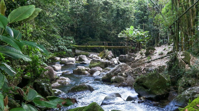 Magé (RJ), 27/03/2023 - Trilha para a cachoeira Monjolo, na reserva Ecovila El Nagual, Magé, Região Metropolitana do Rio de Janeiro. Foto: Tânia Rêgo/Agência Brasil