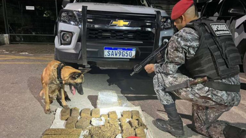 Cães farejadores participaram da busca no bairro Messejana 