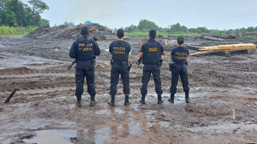 Polícia Federal e Ibama apreendem madeira ilegal no Pará