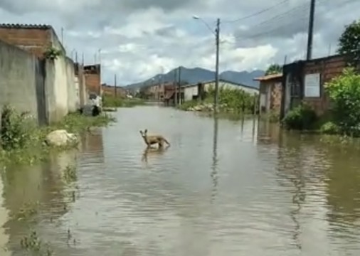 No dia seguinte a enchente no bairro Picuí, em Caucaia, o local segue alagado. 