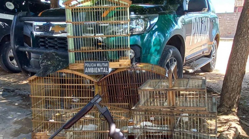 Animais estavam em gaiolas no alpendre de uma residência em Cedro