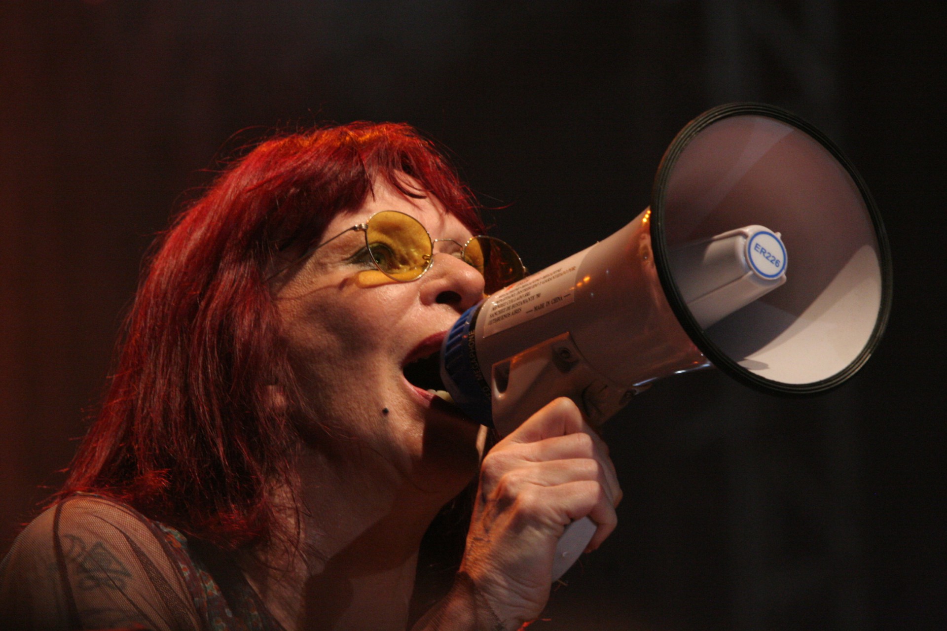 Rita Lee nasceu para a música quando arte e política se aproximavam