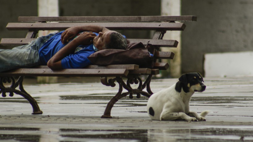 Animais em situação de abandono tem sido cada vez mais frequentes em Juazeiro do Norte