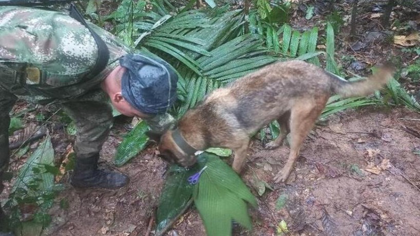 Confira as principais informações sobre as quatro crianças colombianas perdidas após acidente aéreo