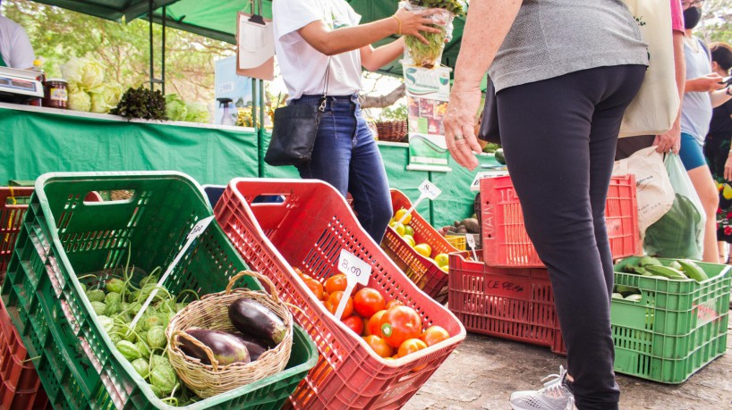 Em 2022, o Valor Bruto da Produção Agropecuária chegou a, aproximadamente, R$ 5,5 bilhões.