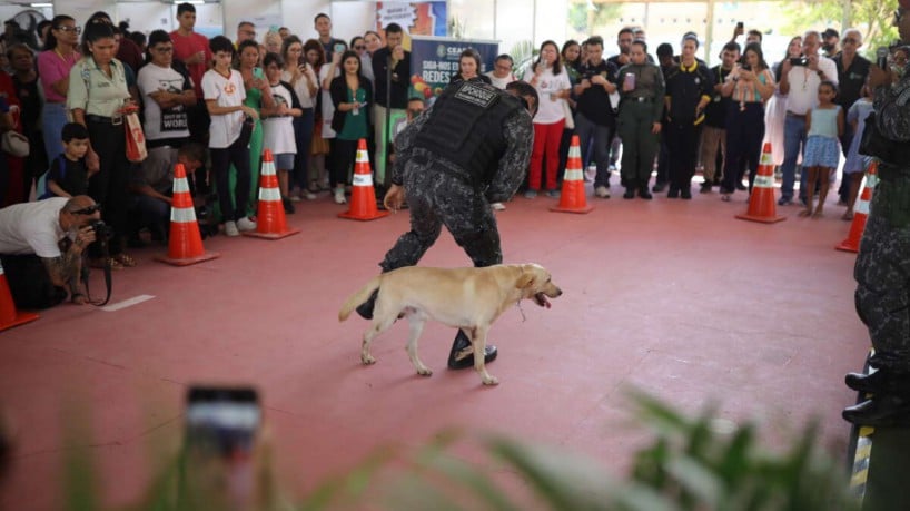 ￼COMPANHIA de cães faz 
apresentação no aniversário da SSPDS