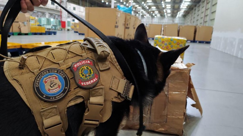 Um cão farejador da raça pastor alemão indicou a presença da "supermaconha" no eletrodoméstico