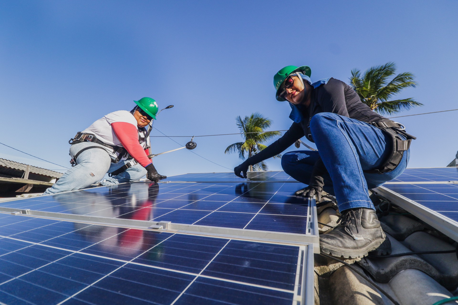 Em 2023 o setor solar gerou mais de 352 mil novos empregos verdes no Brasil (Foto: FERNANDA BARROS)