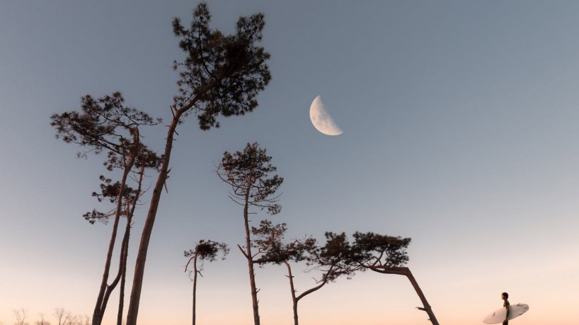 O mês de junho apresenta quatro transições lunares