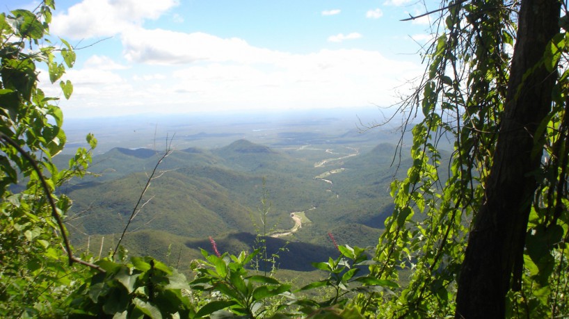 Área de reserva legal no assentamento Fazenda Serrote, no município de Canindé                  