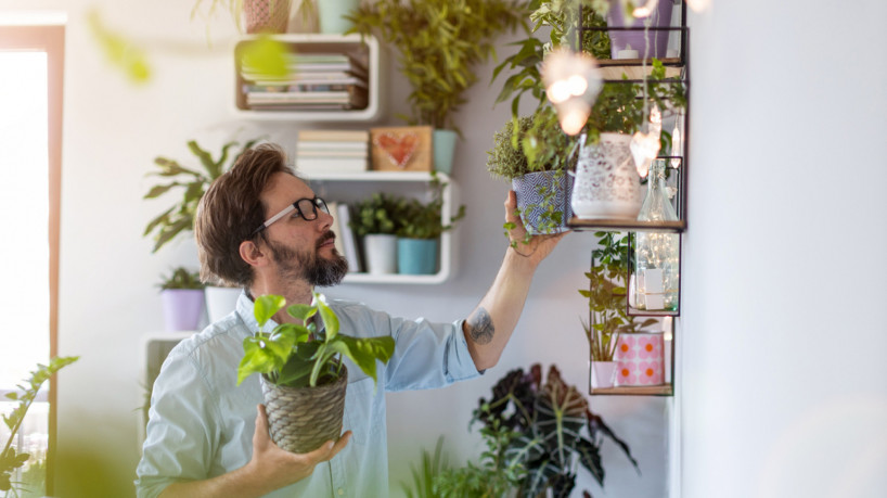 As plantas trazem prosperidade e bem-estar (Imagem: PIKSEL | ShutterStock) 