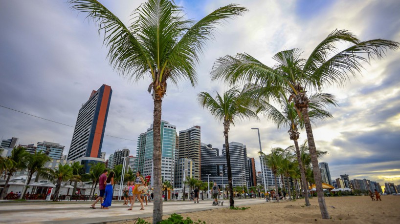 ￼Mudas de arvores nativas plantadas 
pela na av. Beira-Mar, em Fortaleza 