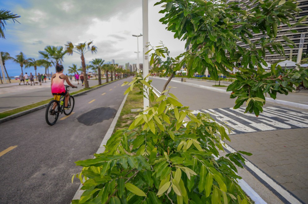 Economia circular é uma boa alternativa para efeitos climáticos diz o especialista meio ambiente e biólogo Matheus Haddad(Foto: FCO FONTENELE)