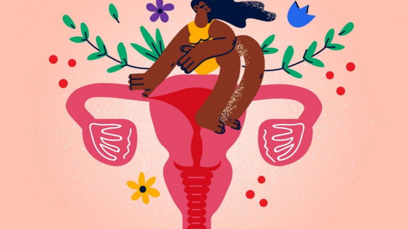 A endometriose e a síndrome do ovário policístico são doenças diferentes (Imagem: Alphavector | Shutterstock)