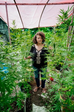 Ana Carla Basto tem autorização judicial para fazer o autocultivo da maconha medicinal em casa(Foto: Julio Caesar / O POVO)