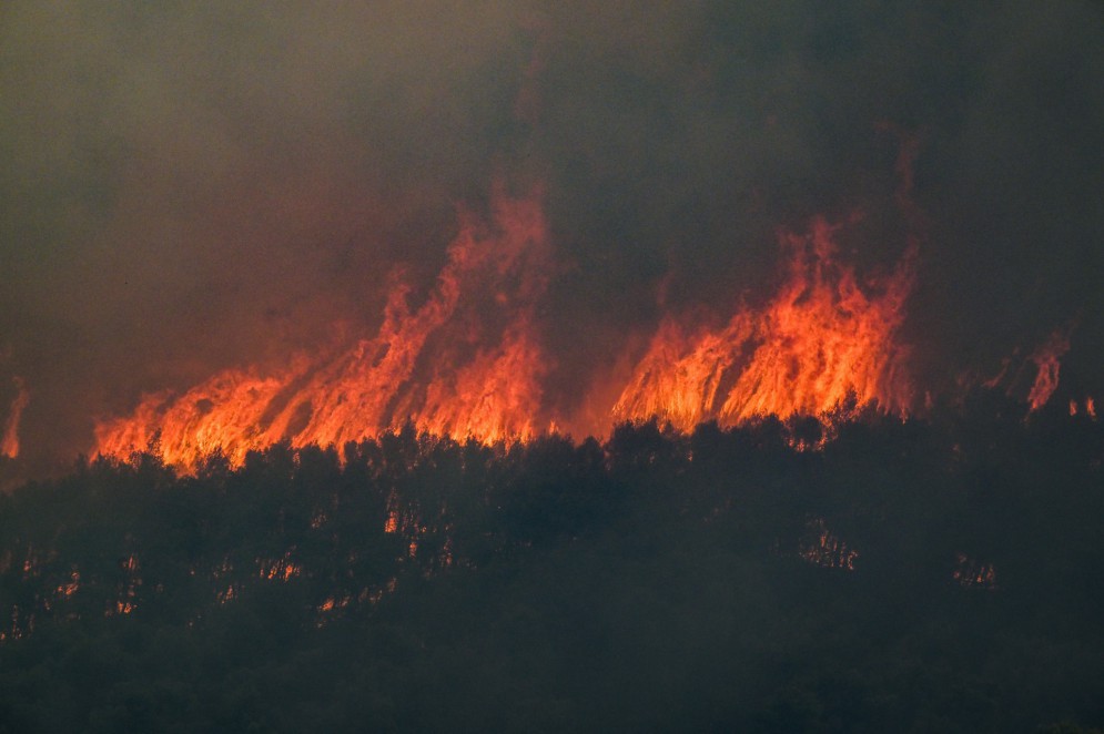 Árvores ardem durante incêndio florestal em Agia Sotira, próximo a Atenas, Grécia, durante onda de calor(Foto: ARIS MESSINIS / AFP)